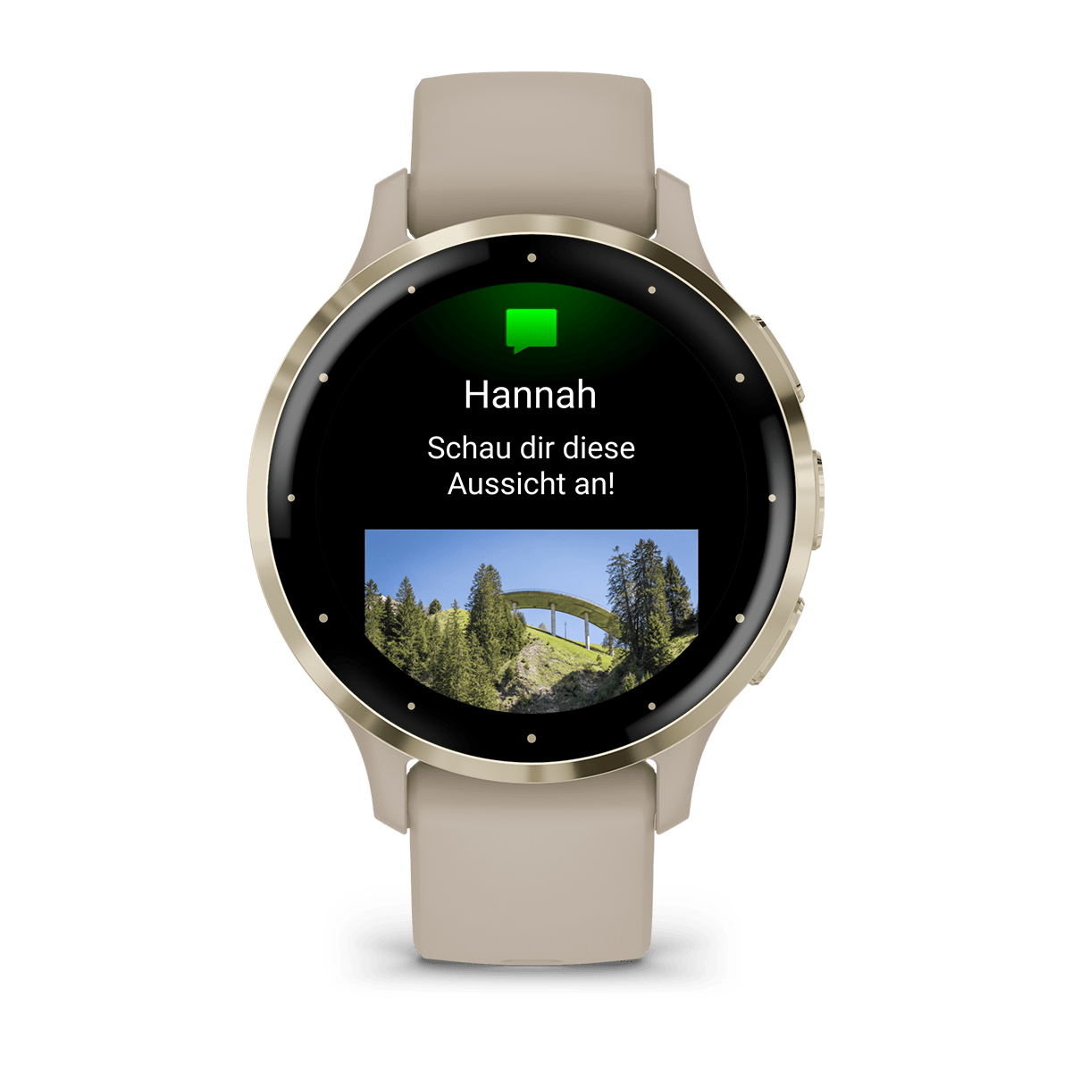 Venu® 3S French Gray/Softgold mit Schnellwechsel-Silikon-Armband 010-02785_2