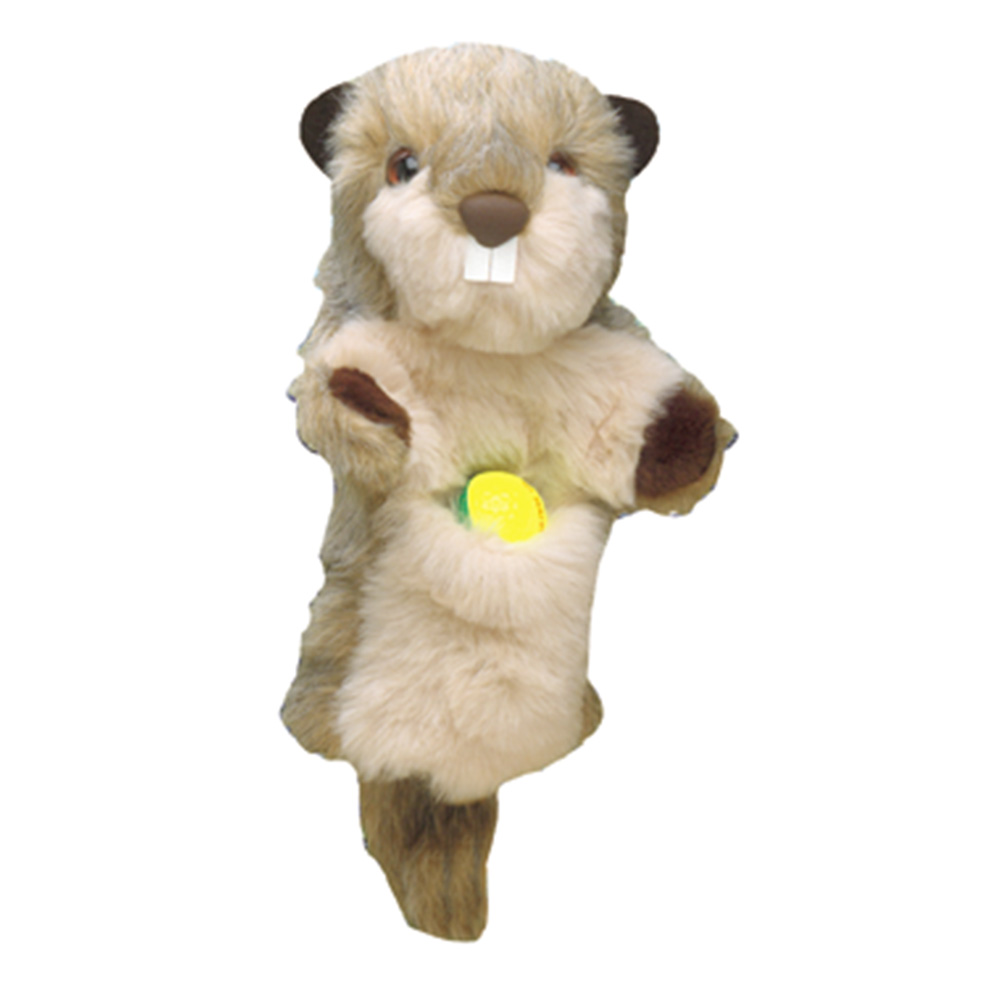 Couvre-chef du driver 49-Z0001_5