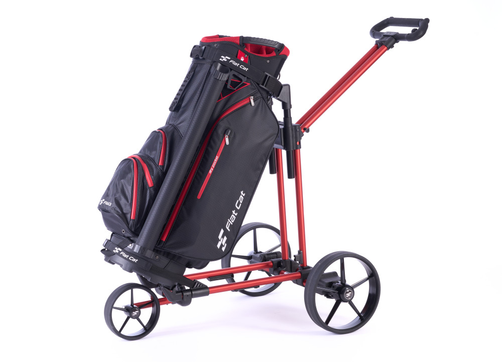 Dojo de Bennington S20-T2302_3