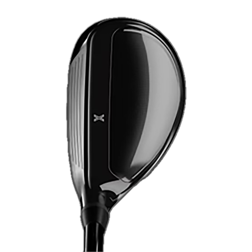 Hybride de Lighning noir P22-H2601_31