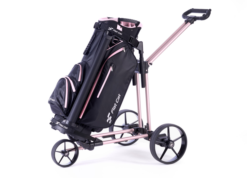 Dojo de Bennington S20-T2302_7