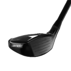 Hybride de Lighning noir P22-H2601_31