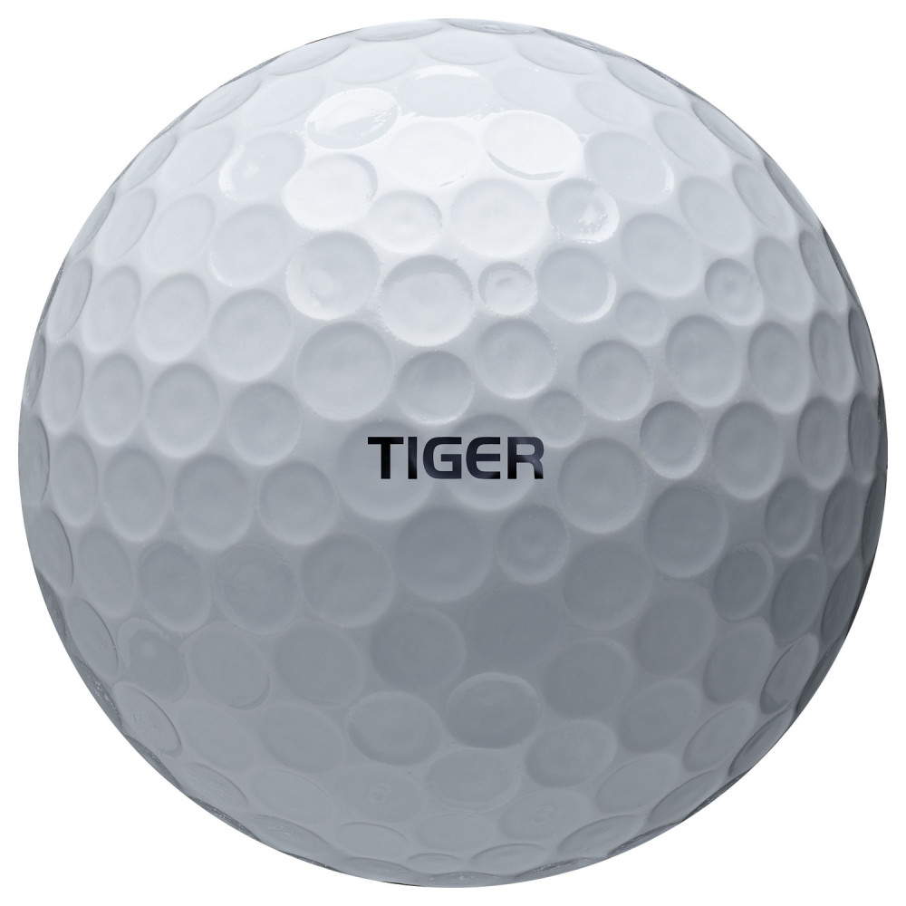 Tiger Woods TourB-X S07-B2406