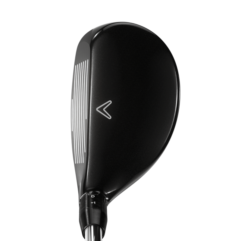 Big Bertha hybride hybrids-2023-big-bertha_2