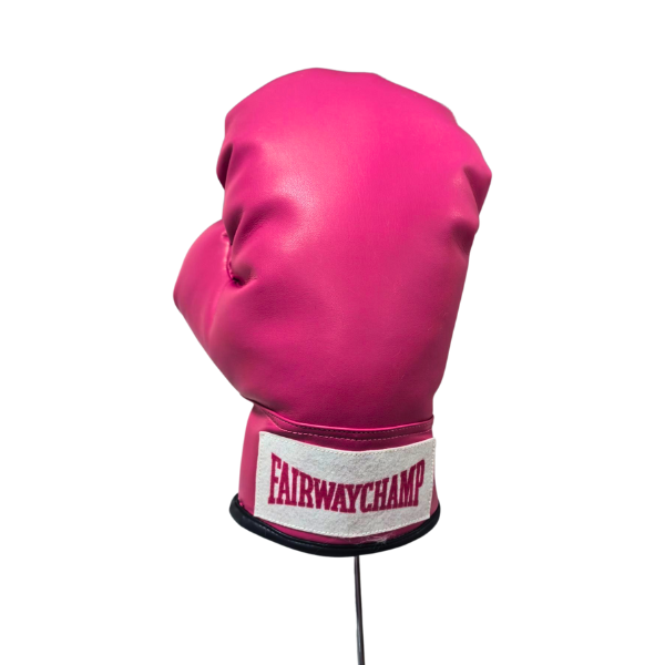 Couvre-chef du driver 10-Z0030_3