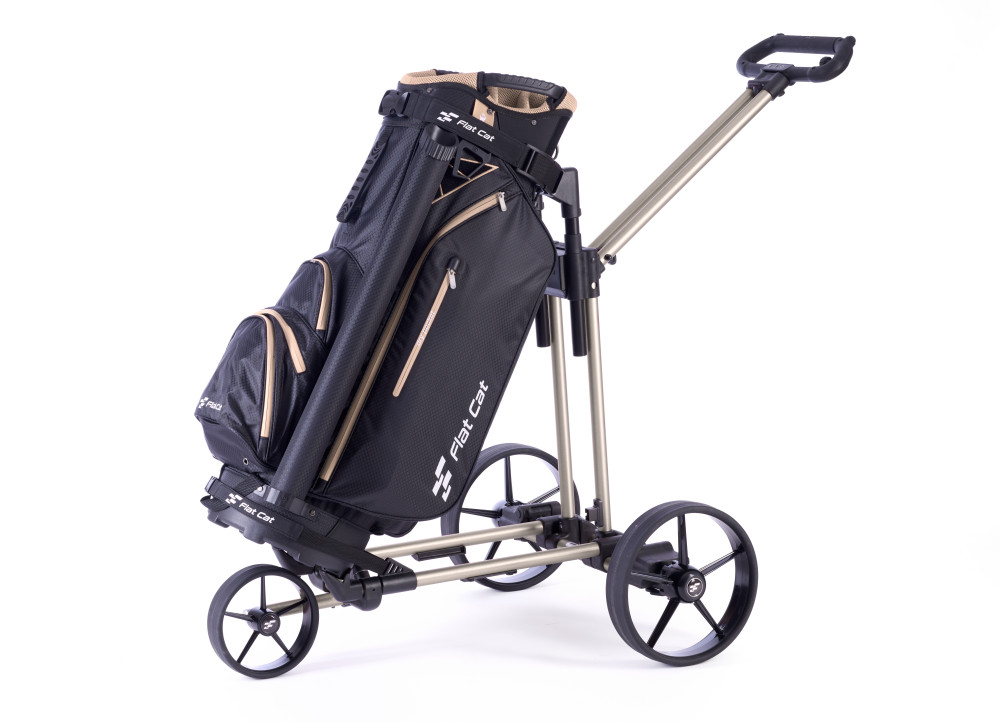 Dojo de Bennington S20-T2302_2