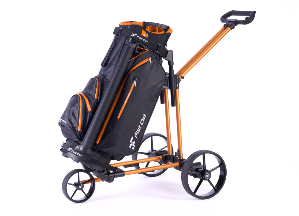 Dojo de Bennington S20-T2302_6